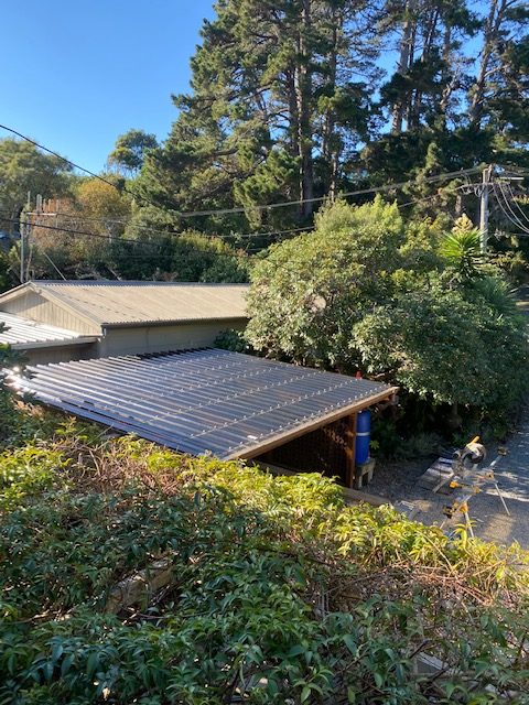 Lean-to Shelving & Roof